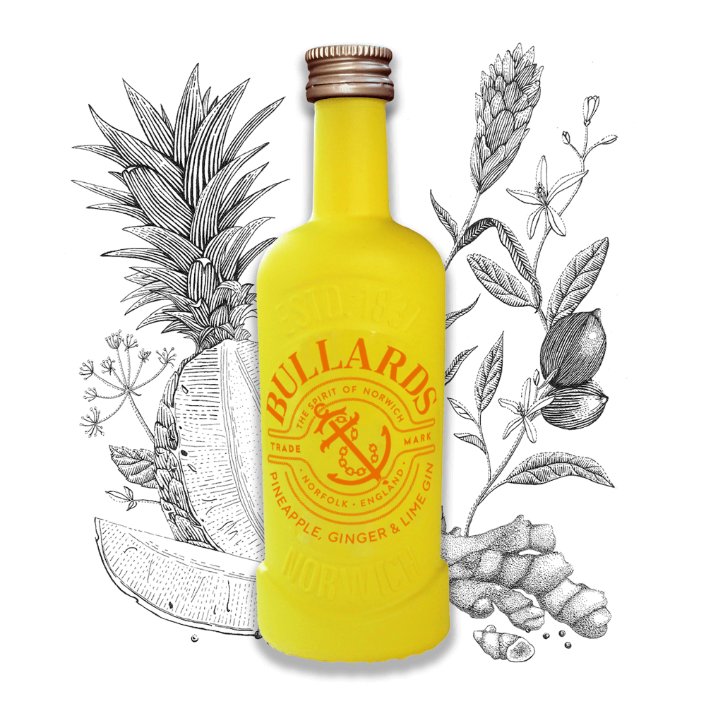 Pineapple, Ginger & Lime Gin 5cl Miniature